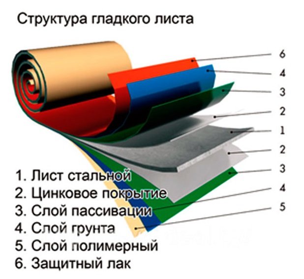 Структура гладкого листа